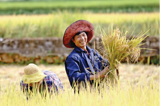 拼多多发布三季度财报：营收355亿，将继续加大投入推动供给侧升级