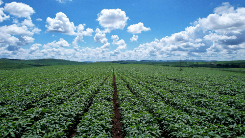 专访和君.智谷先和贾晓轩：十年磨一剑，陪伴呼伦贝尔农垦集团品牌建设纪实